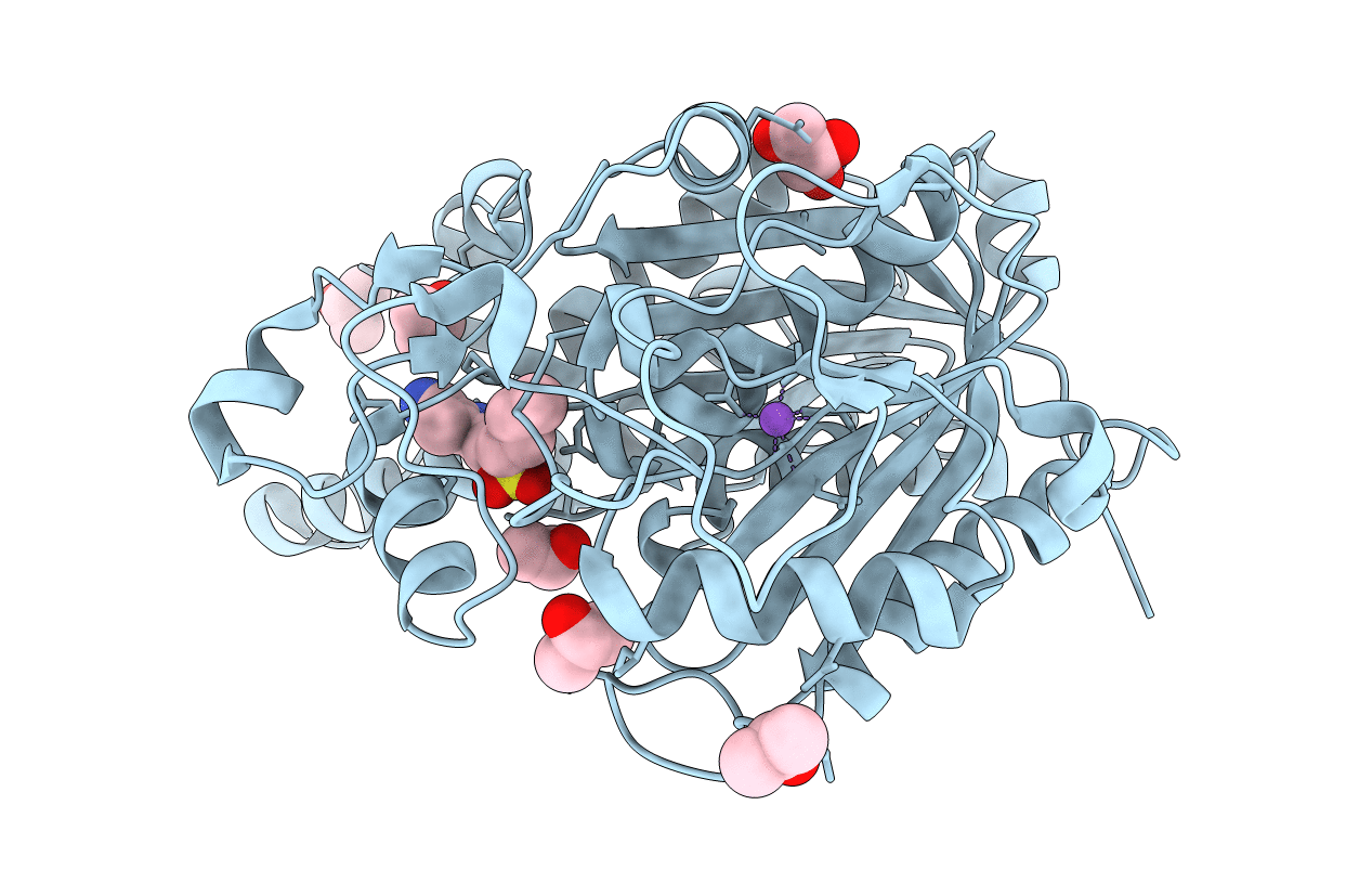 6P9K image