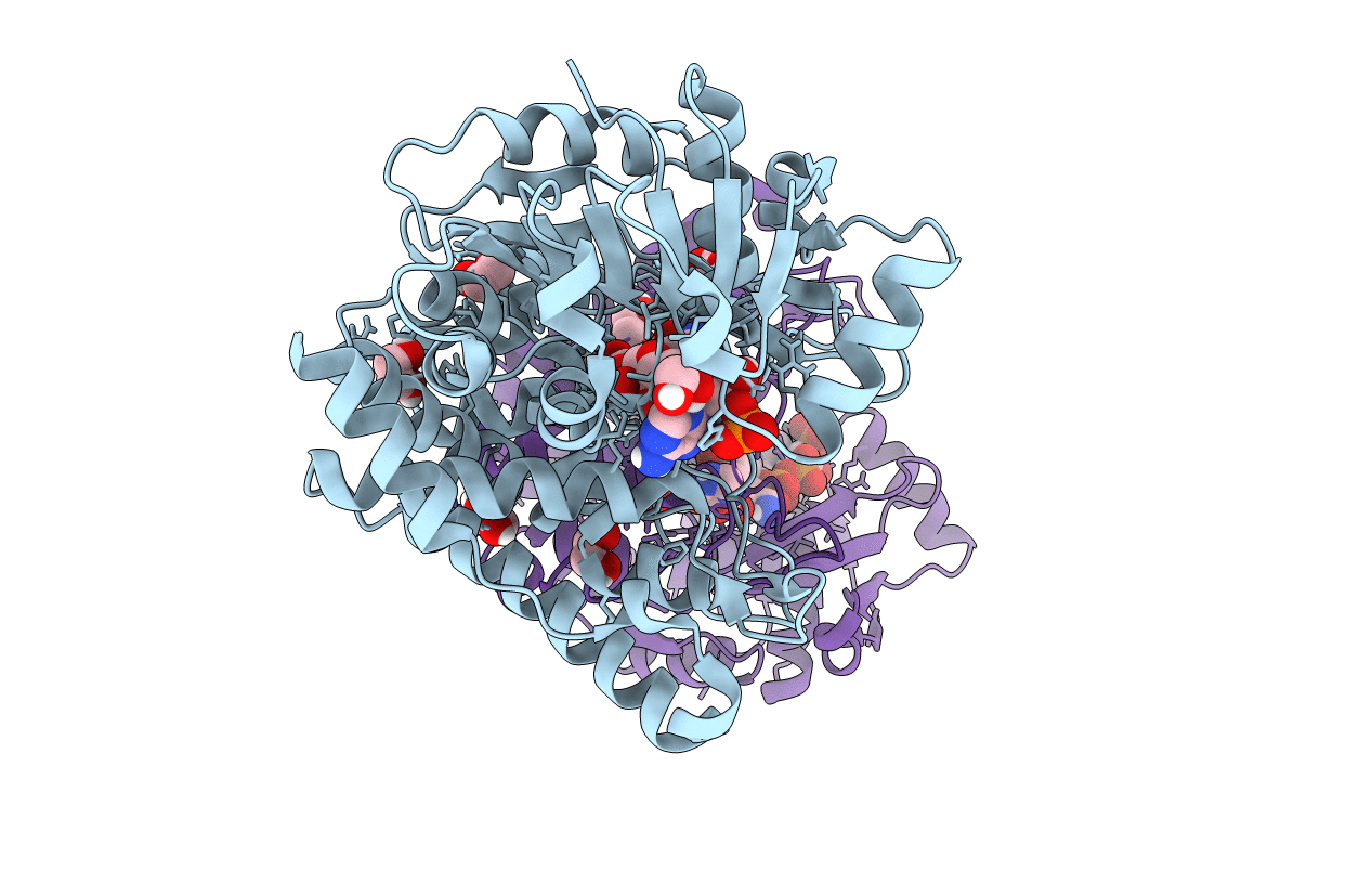 6PBP image