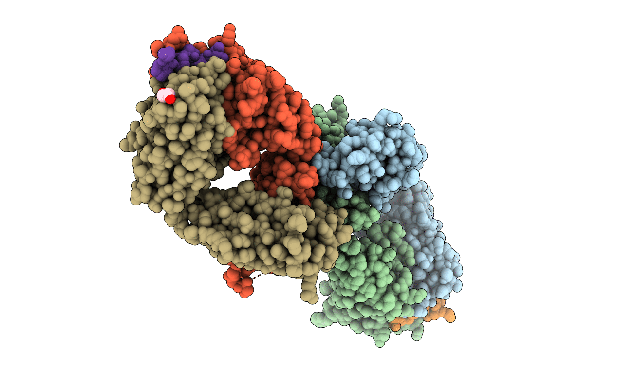 6PBV image