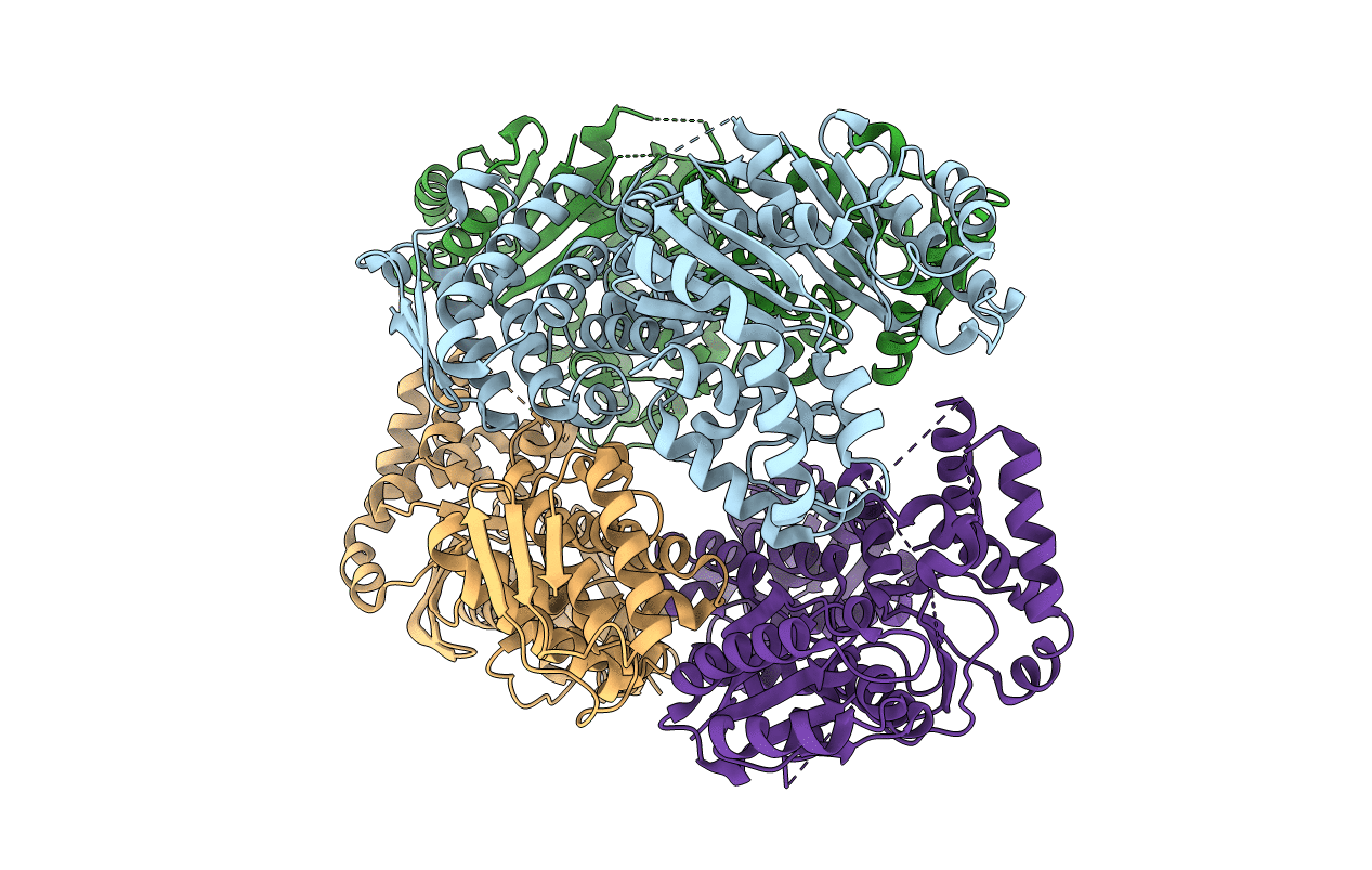 6PBZ image