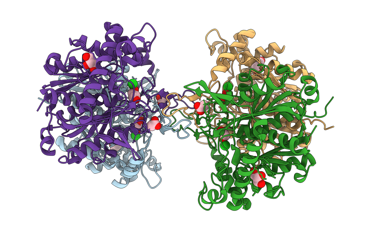6PCA image