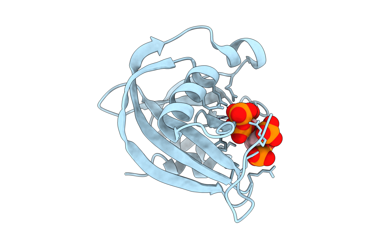 6PCK image