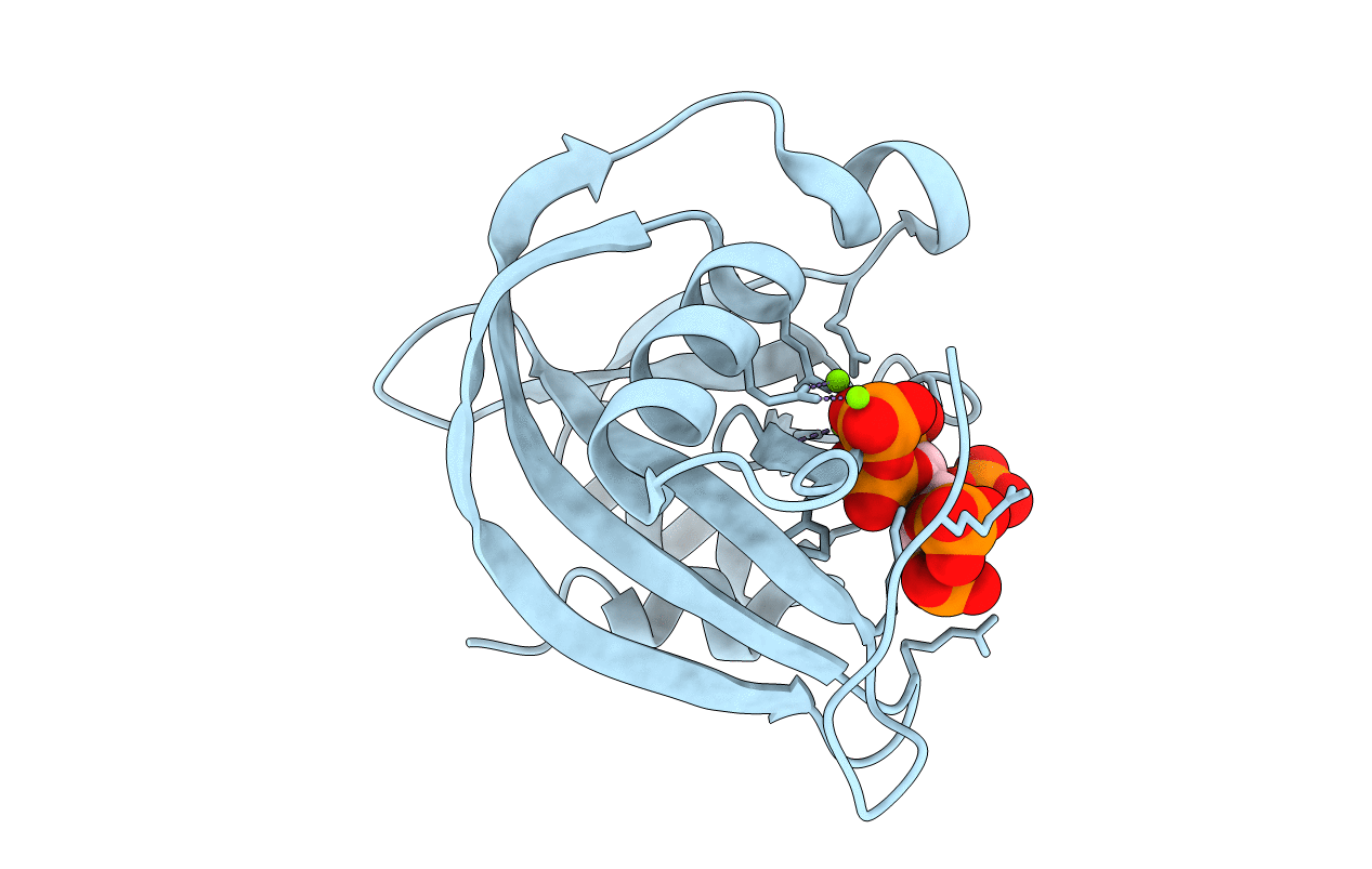 6PCL image