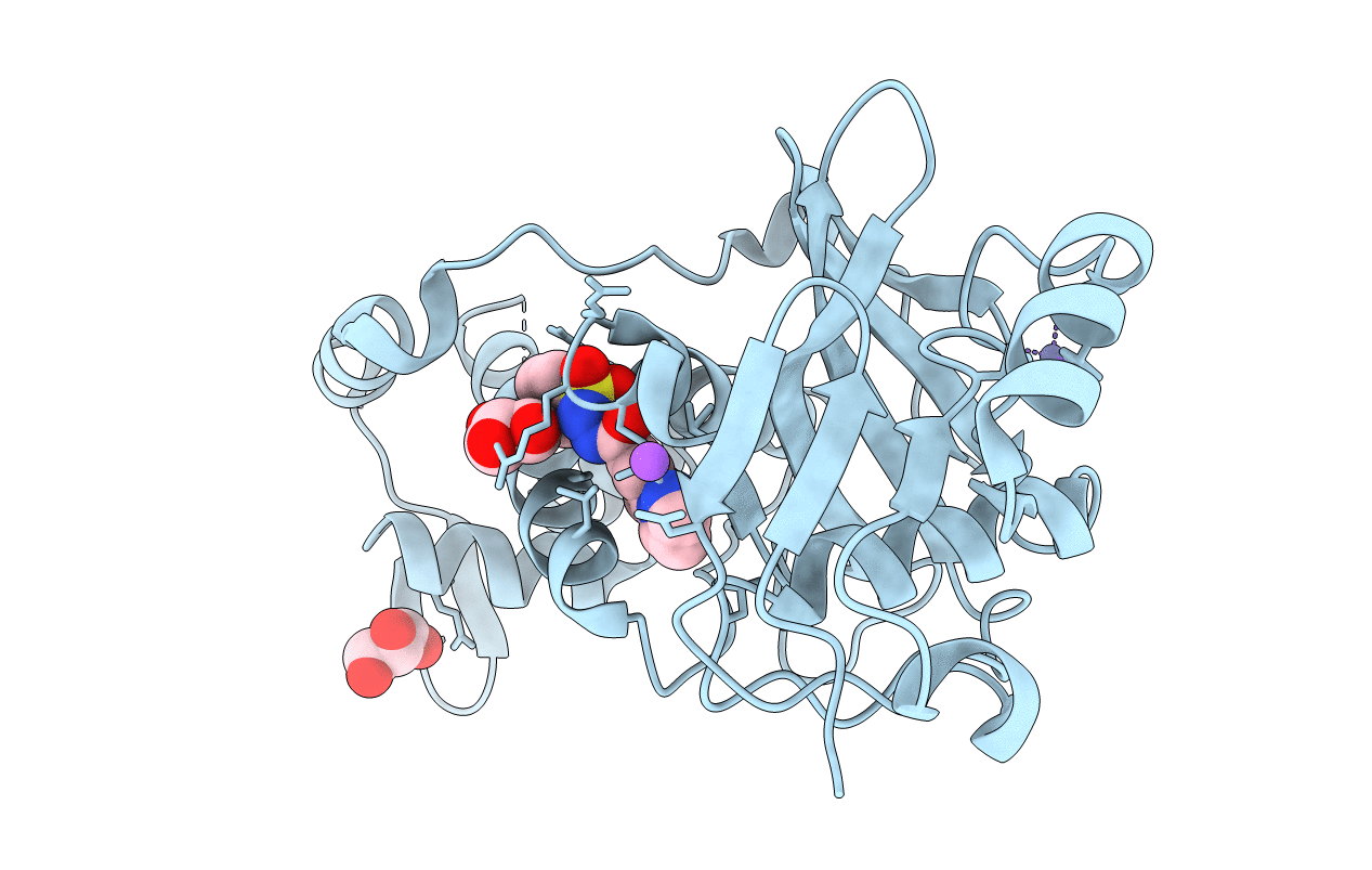 6PD9 image