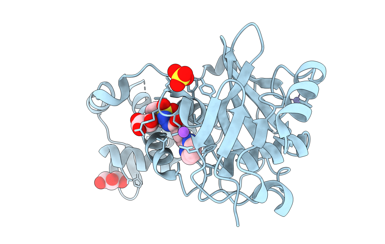 6PDB image