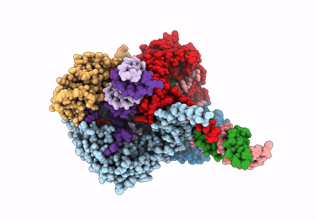 6PE2 image