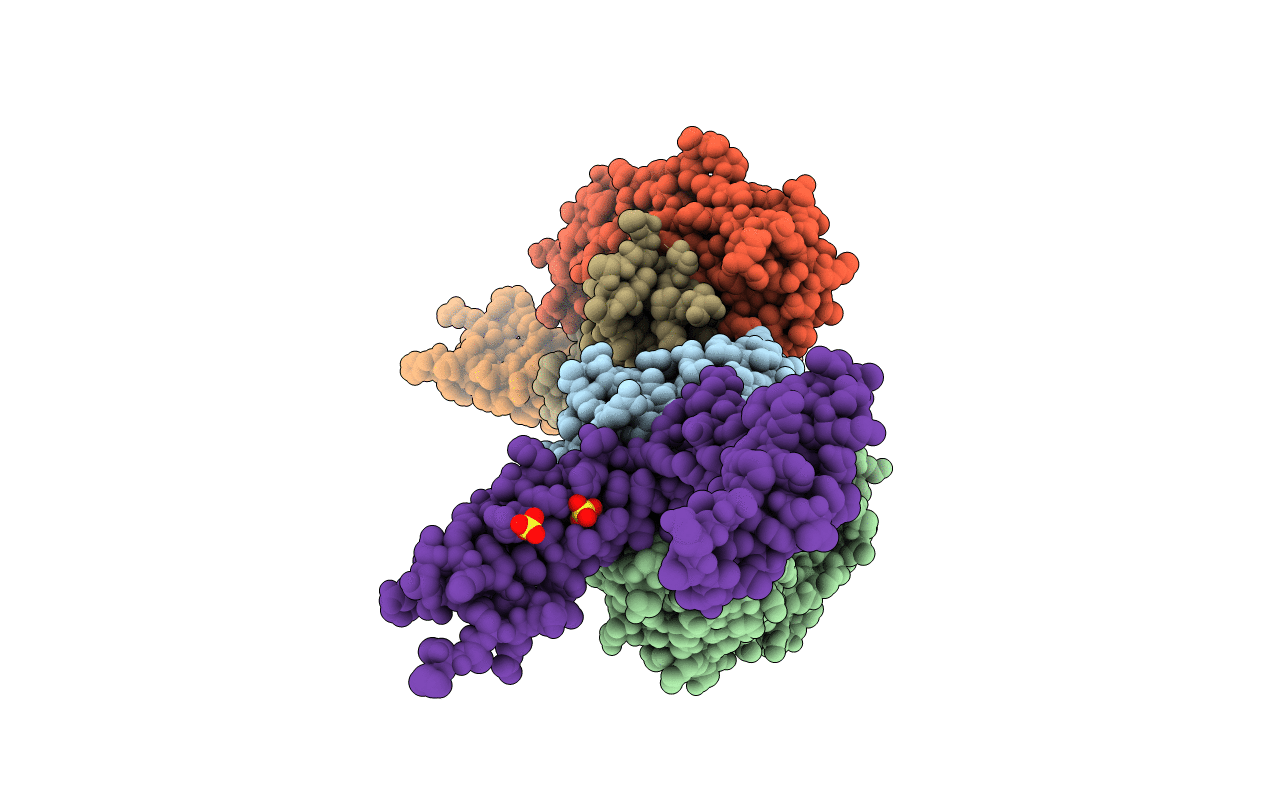 6PE8 image