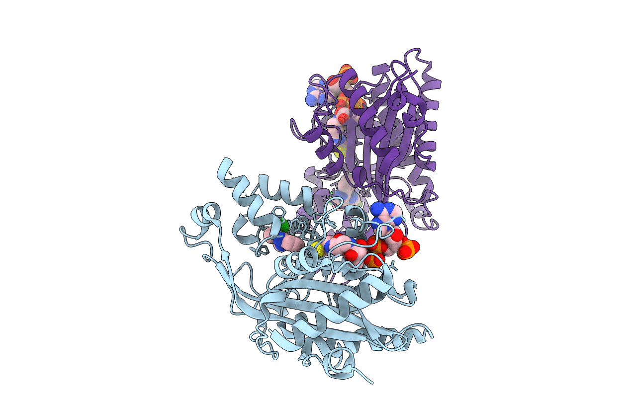 6PF1 image