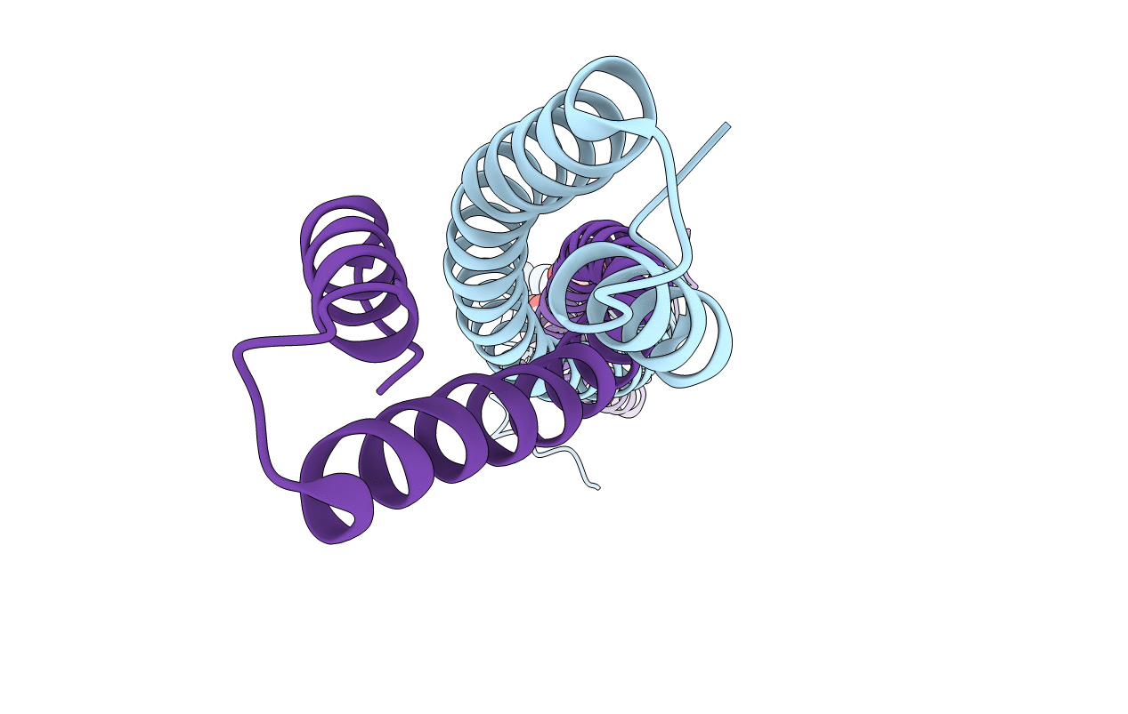 6PF2 image