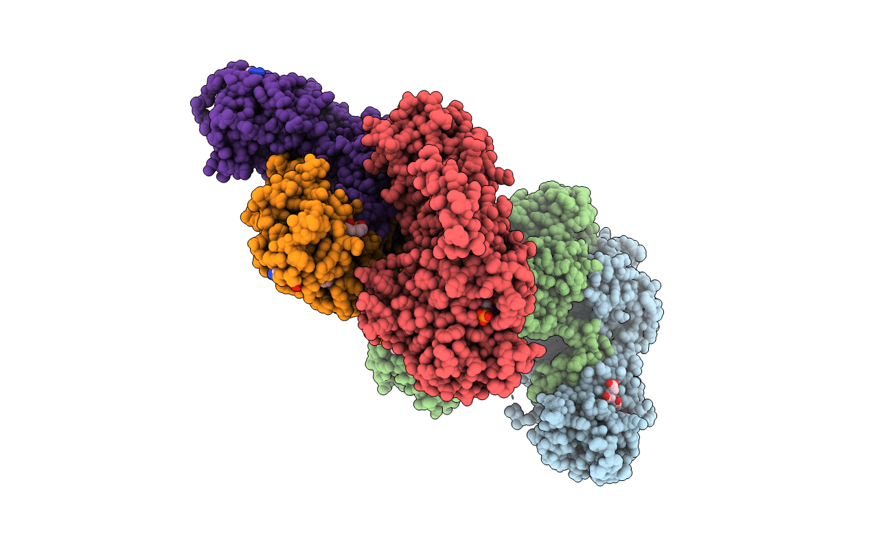 6PFH image