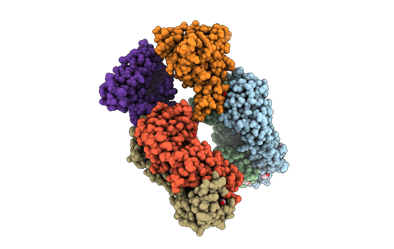 6PHB image