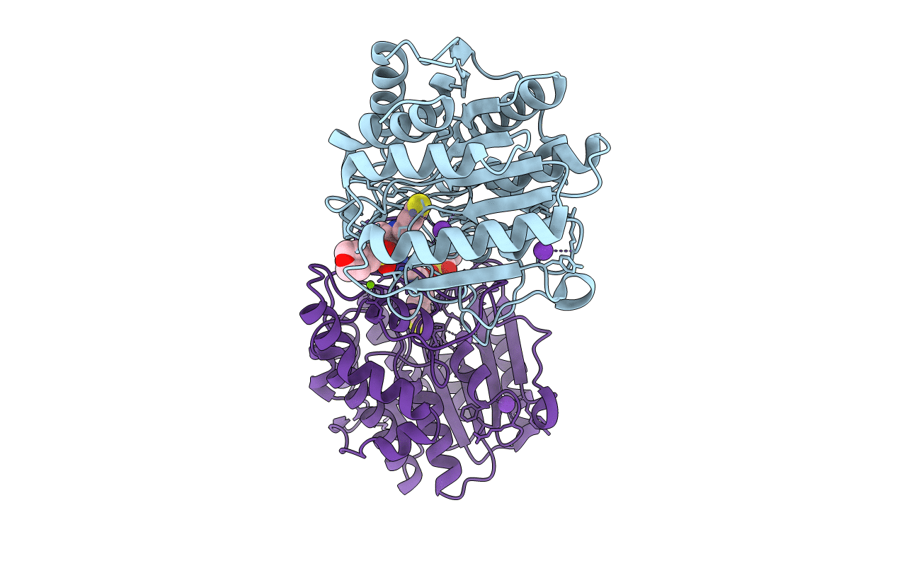 6PHR image