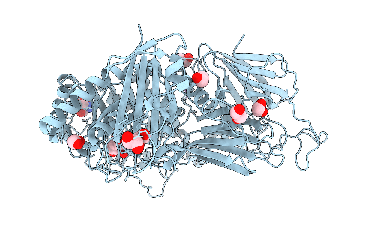 6PHV image