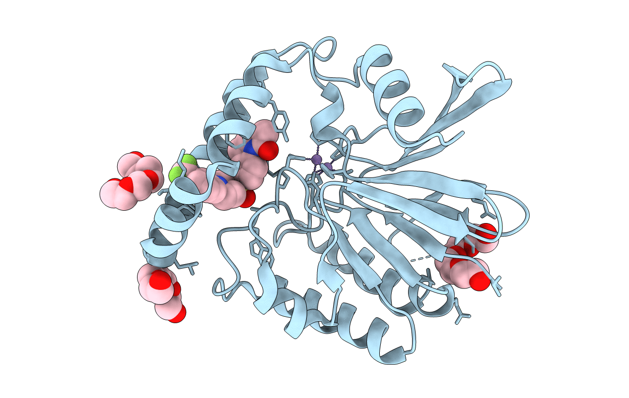 6PIB image