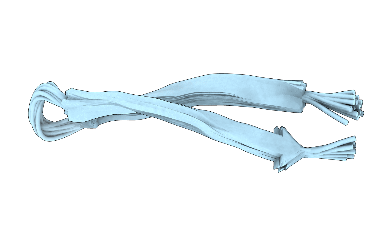 6PIO image