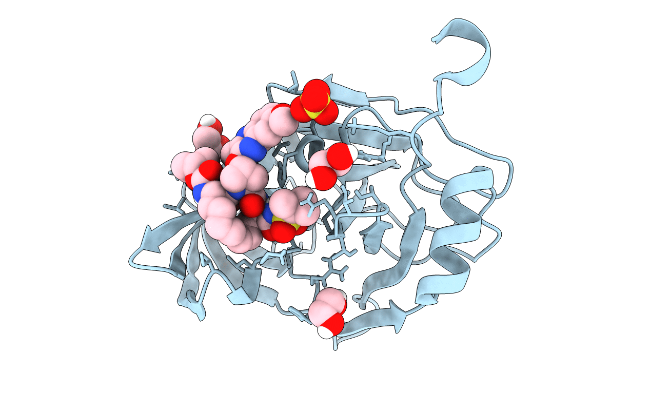 6PIV image
