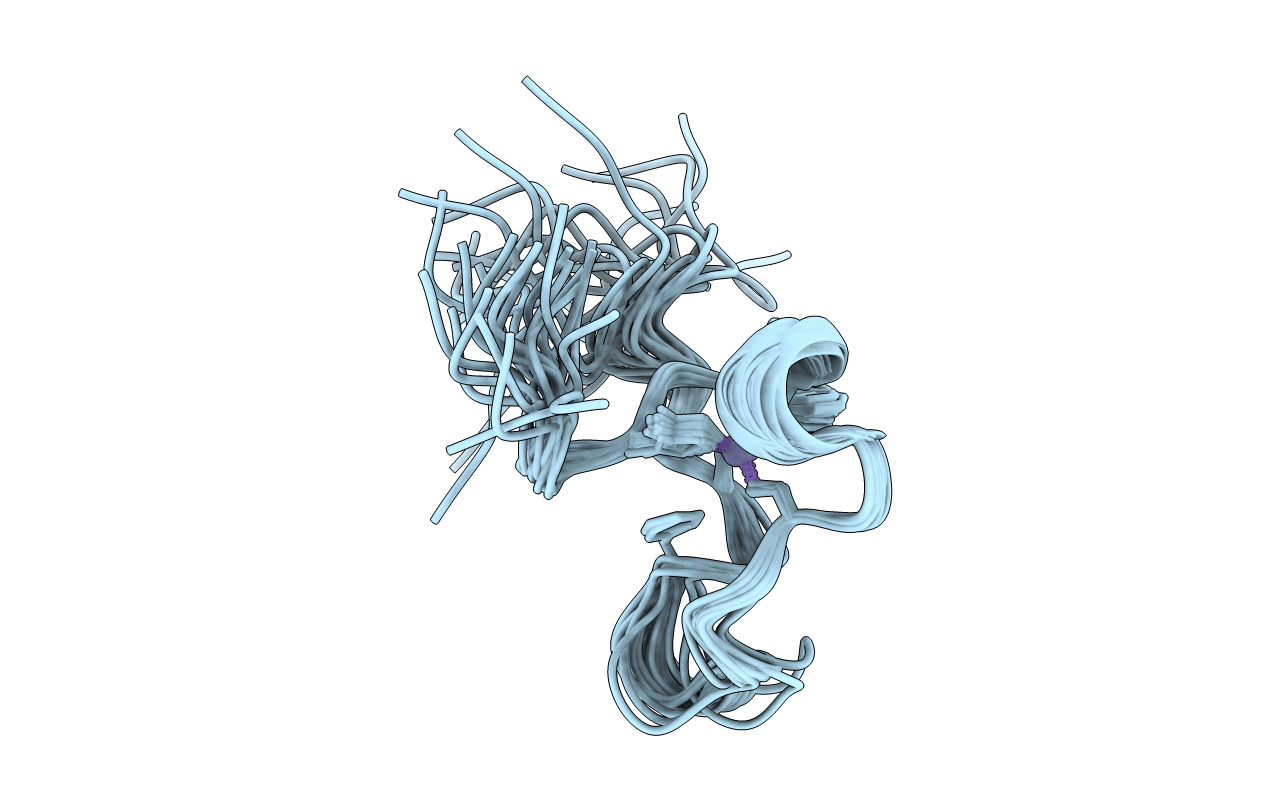 6PMG image