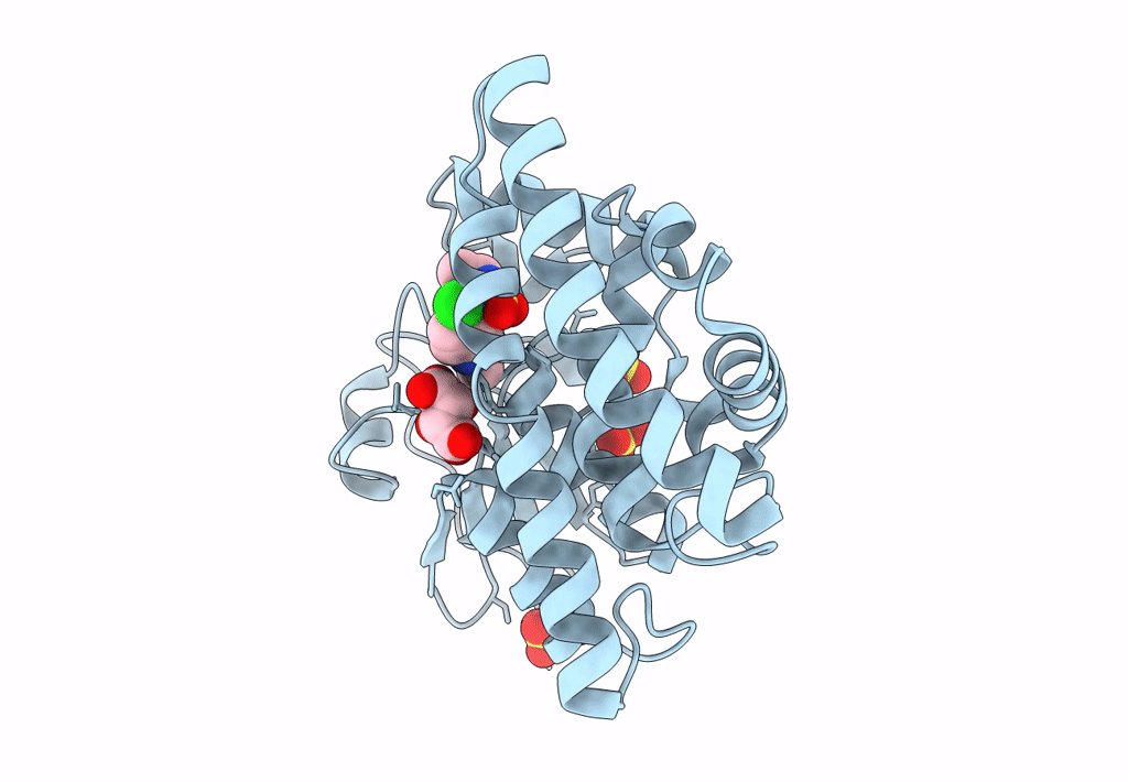 6PNO image