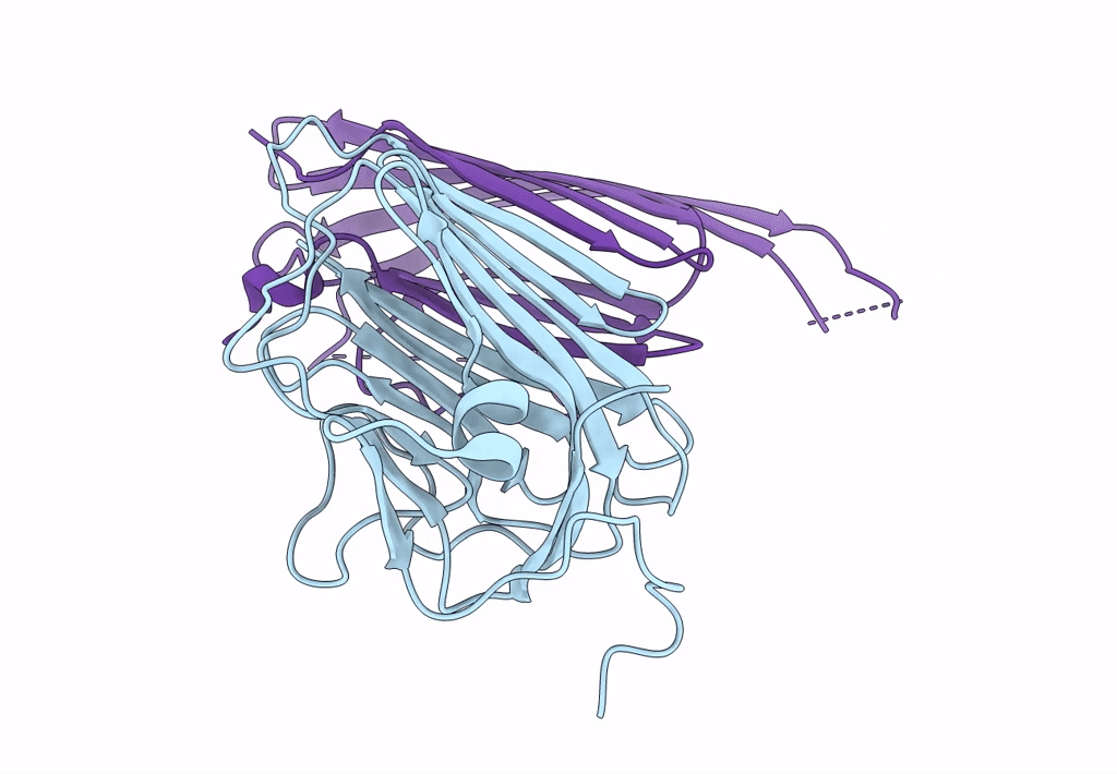 6PNP image