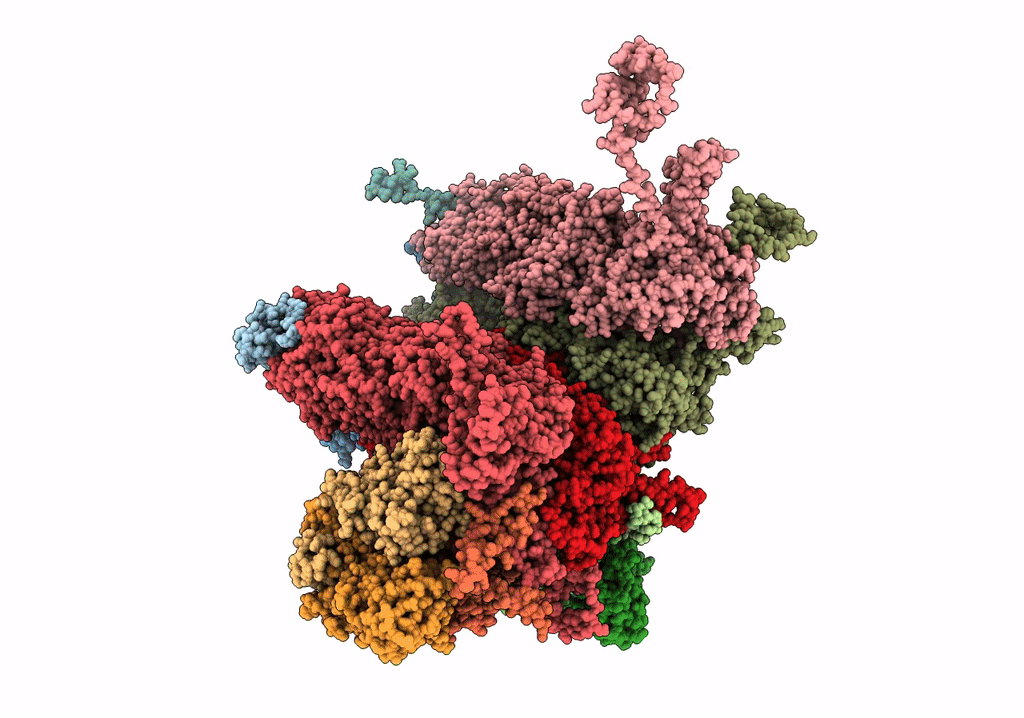 6PPB image