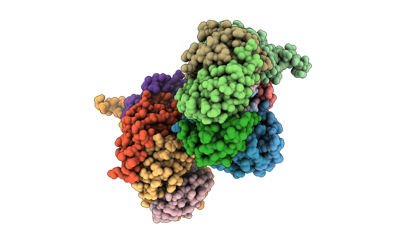 6PPP image