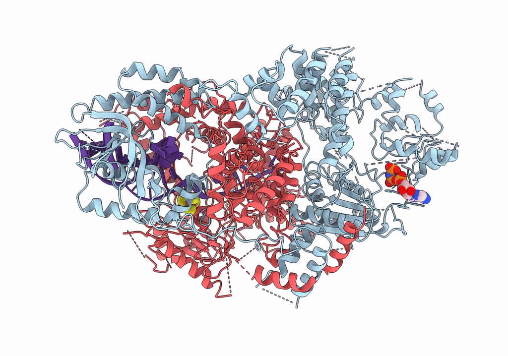 6PPR image