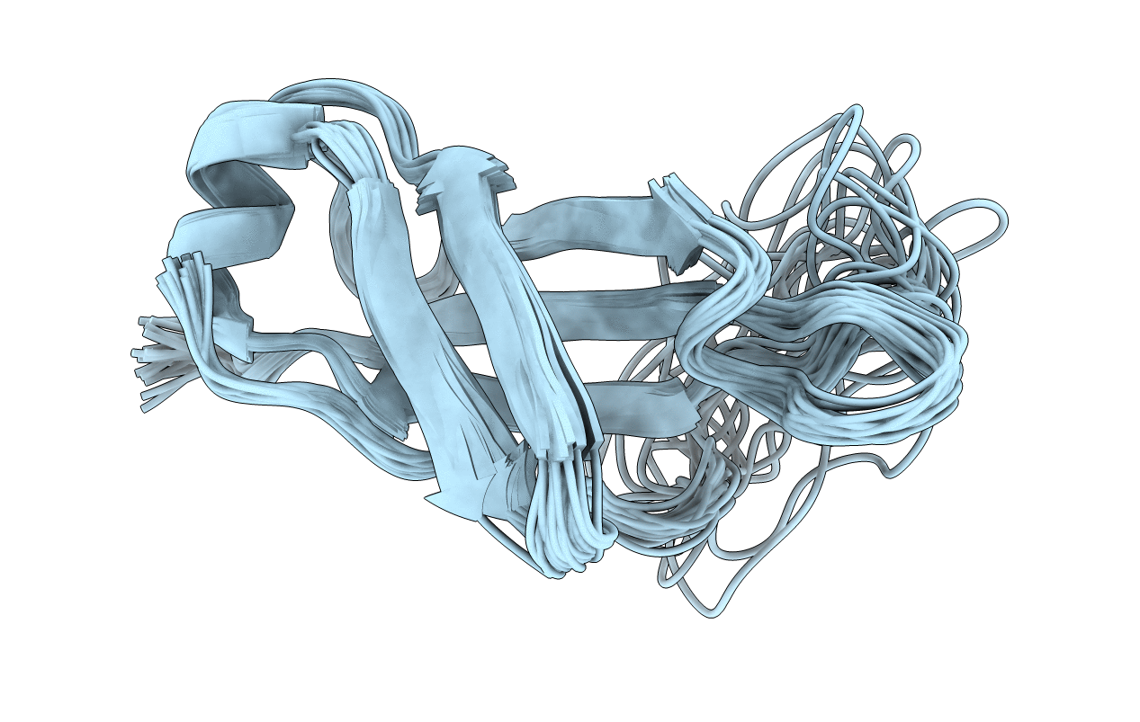 6PPT image