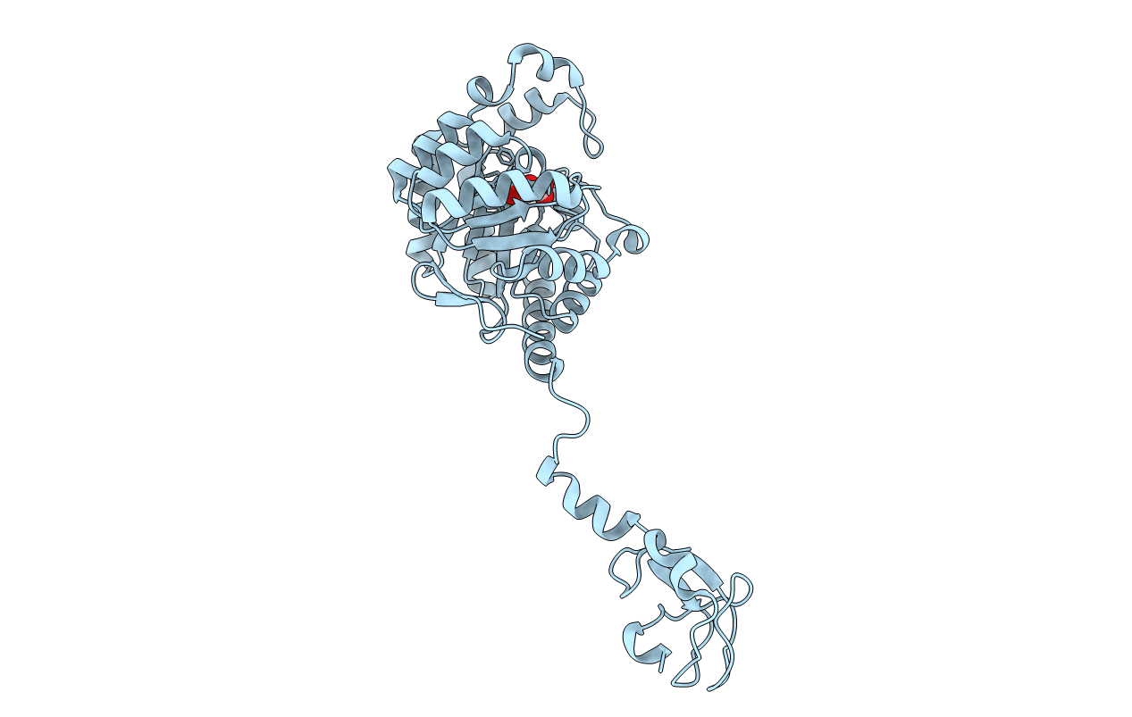 6PPX image