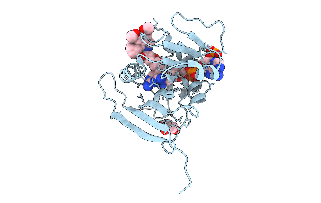 6PRB image