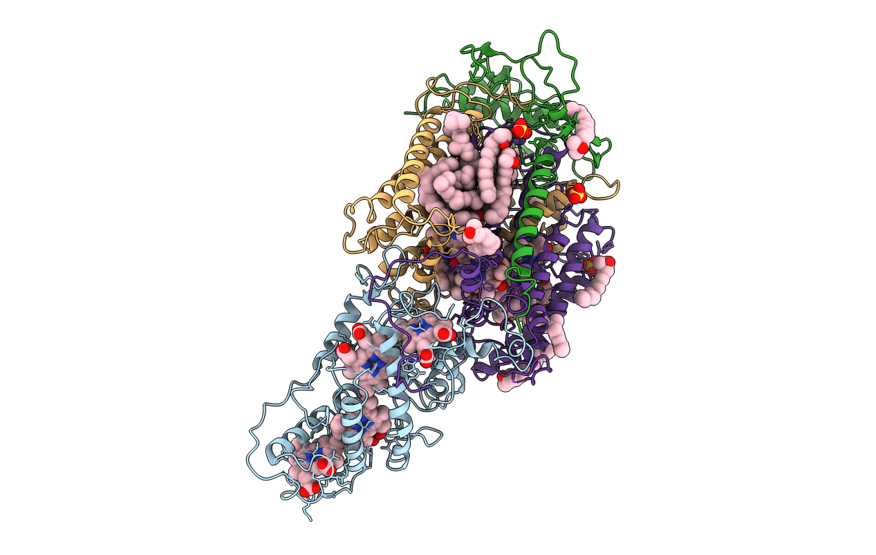6PRC image
