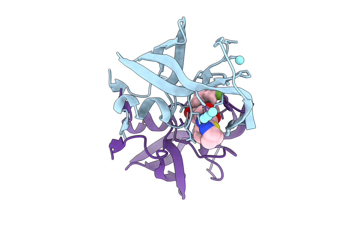 6PRF image