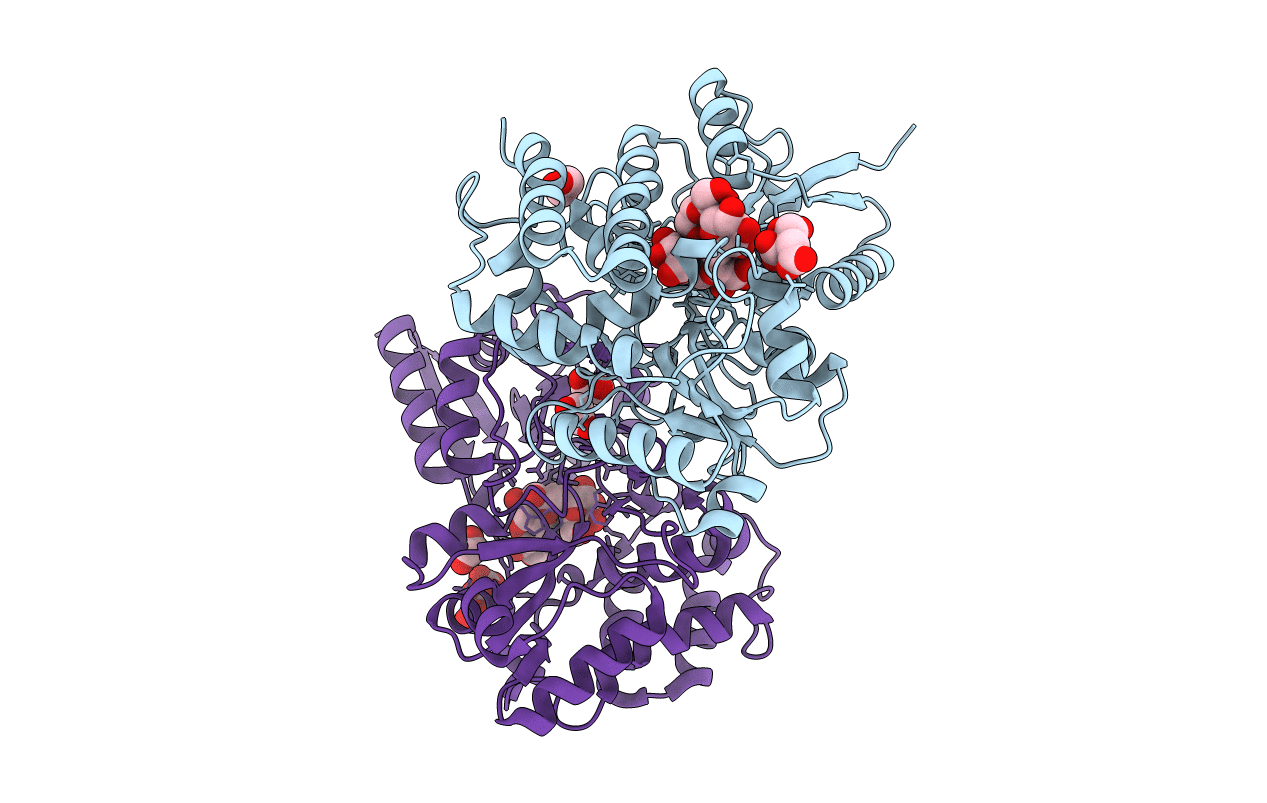 6PRG image