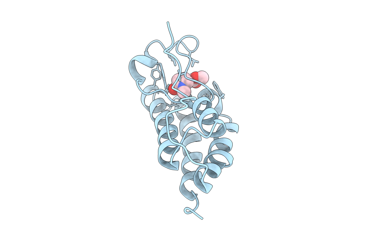 6PRT image