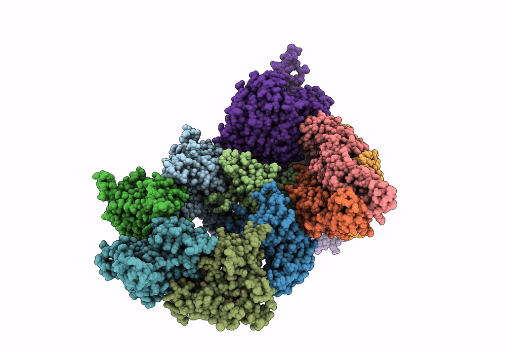 6PTJ image