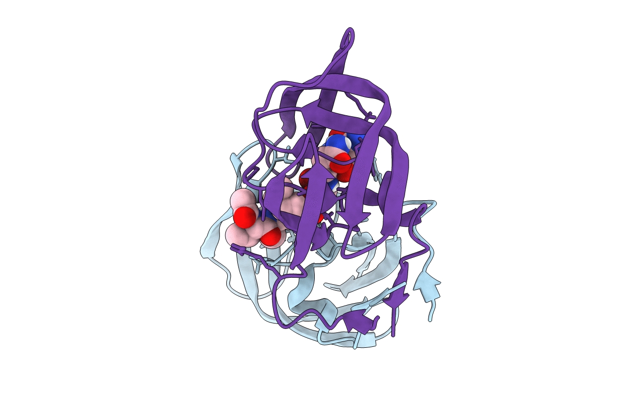 6PTP image