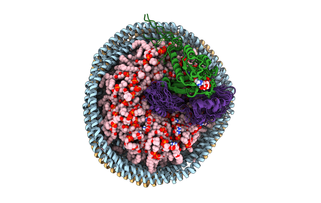 6PTW image