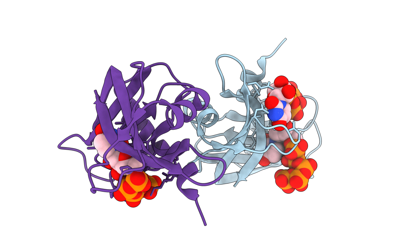 6PVX image