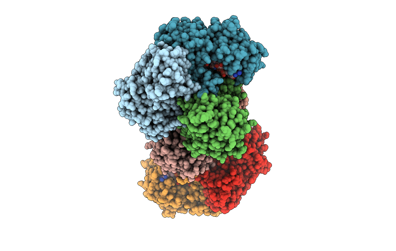 6PX2 image