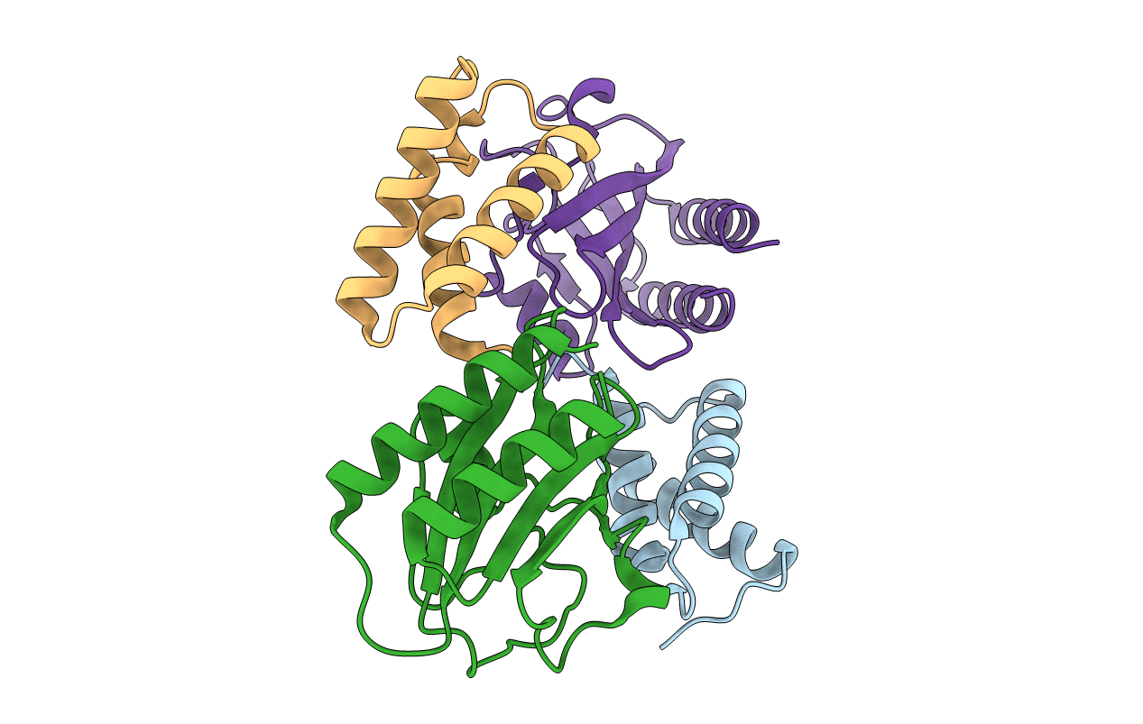 6PX4 image
