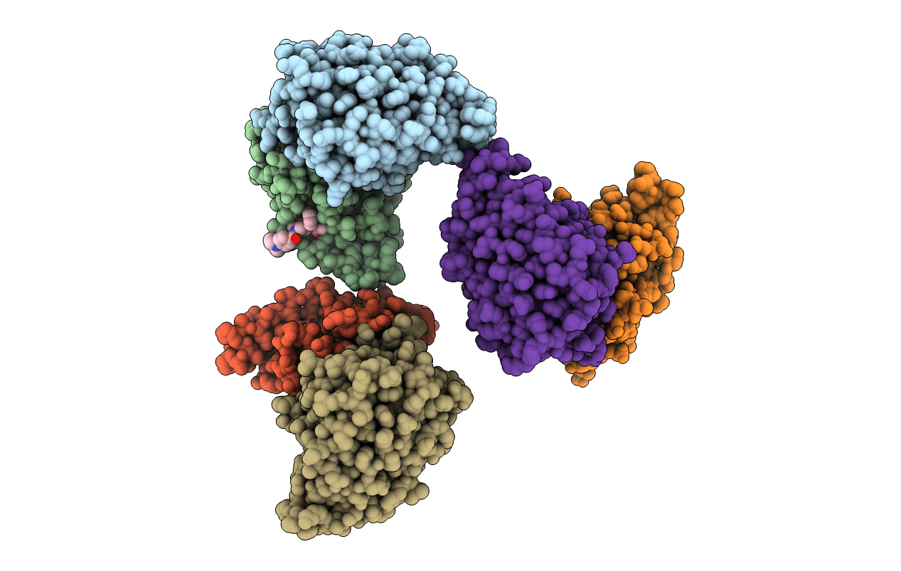 6PX9 image