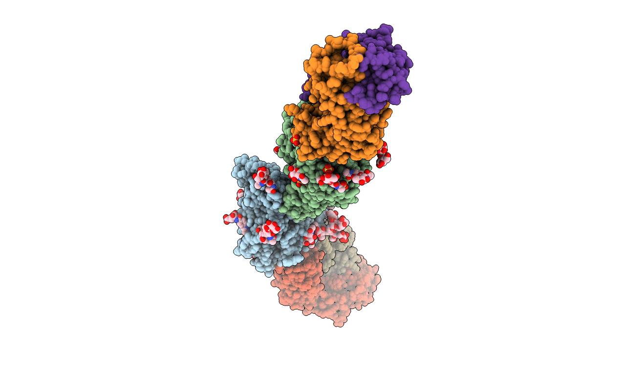 6PXH image