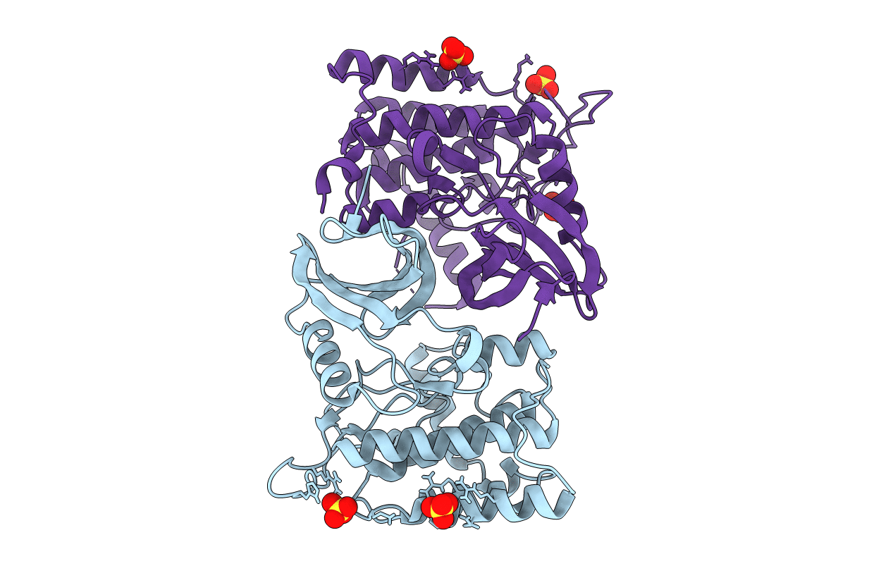 6PXN image