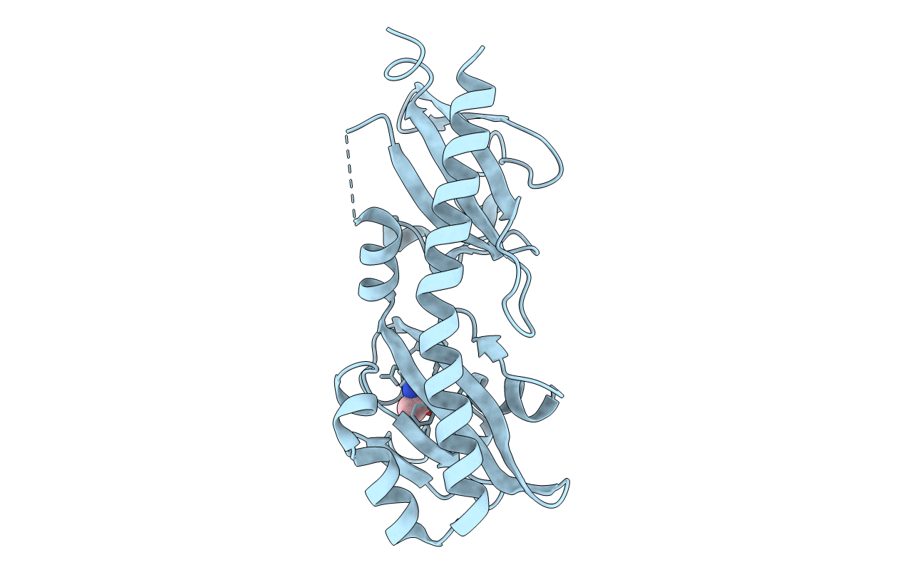6PXY image