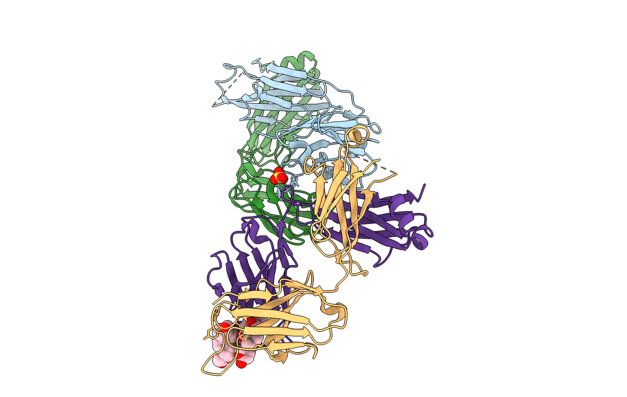6PYC image