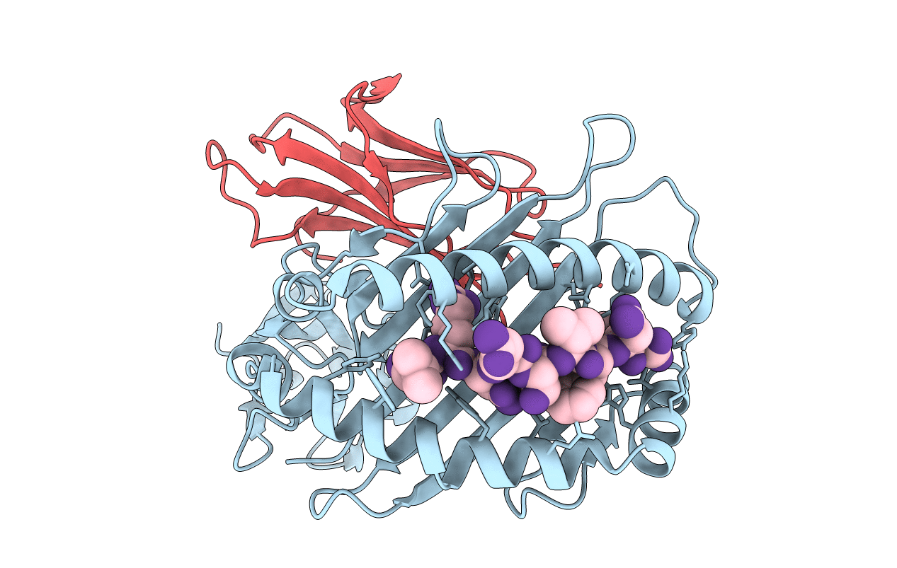 6PYJ image
