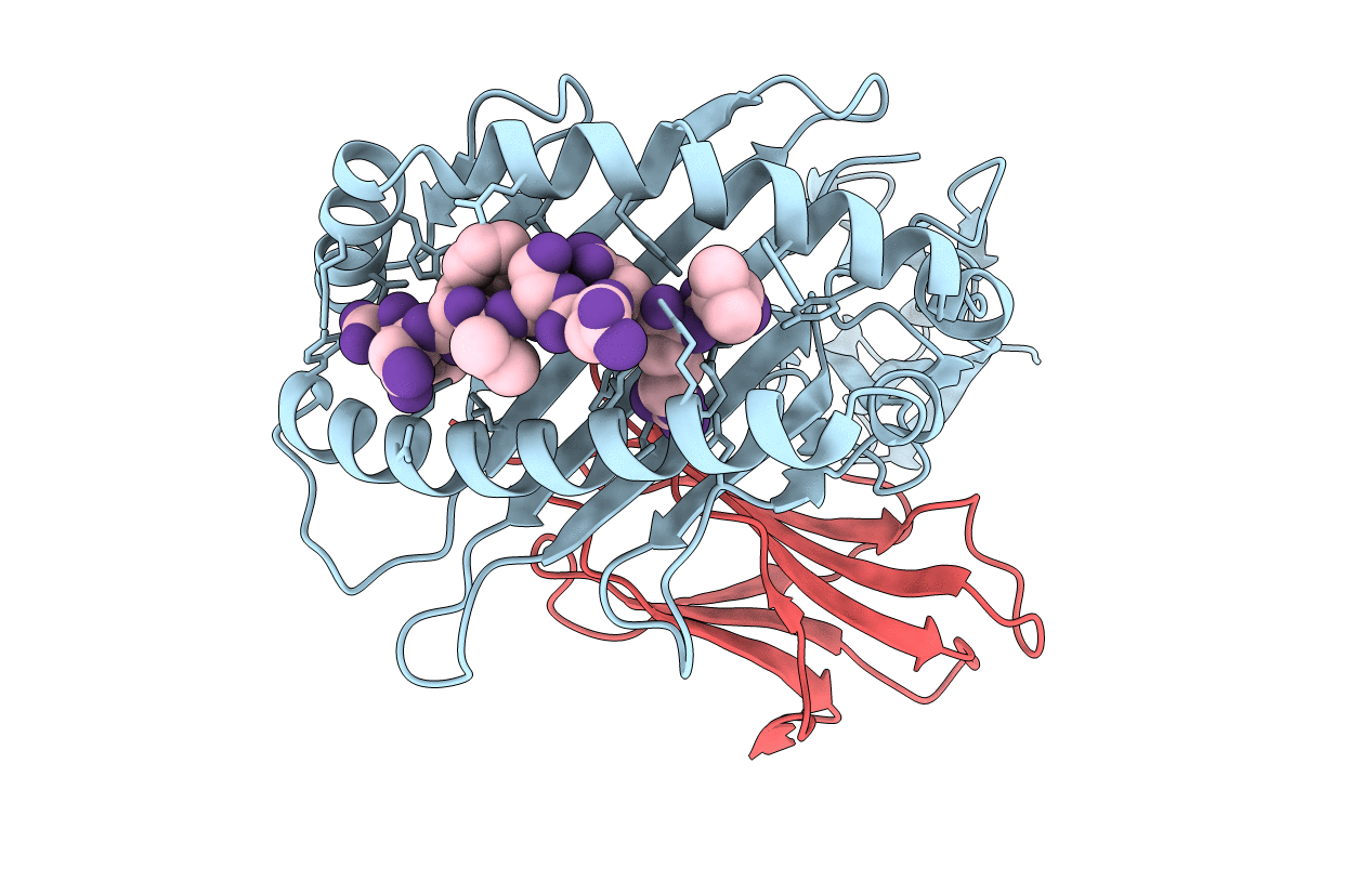 6PYV image