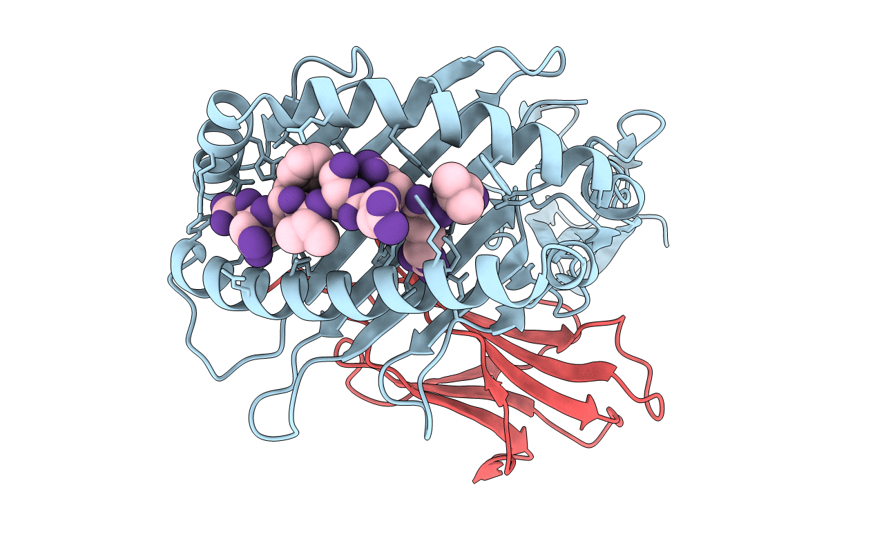 6PYW image