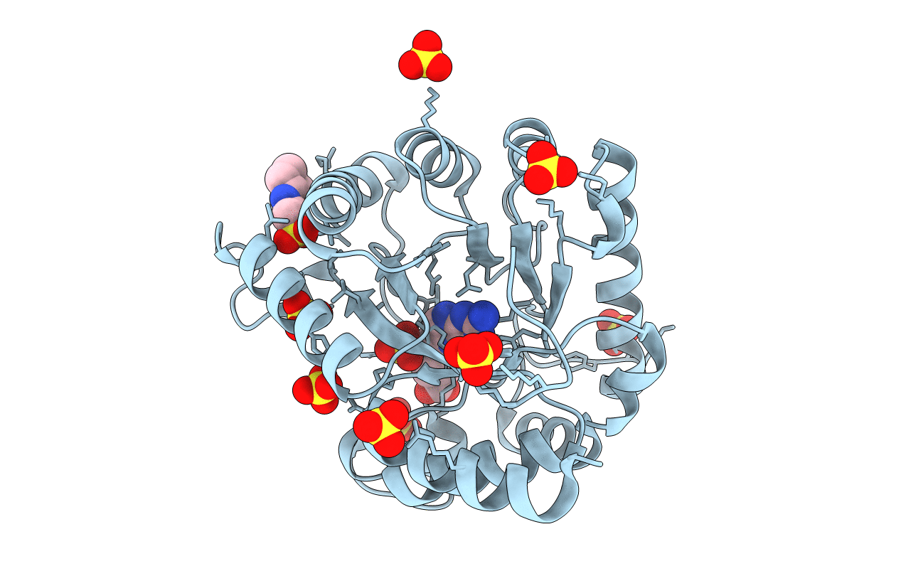 6PZ2 image