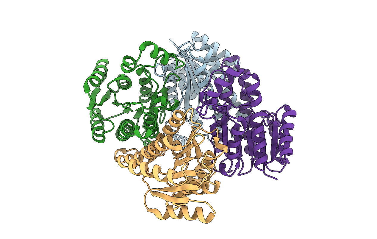 6PZM image
