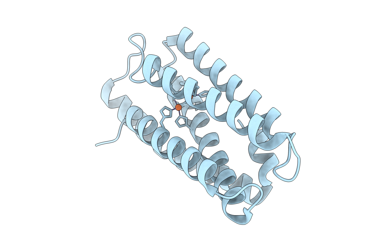 6Q09 image